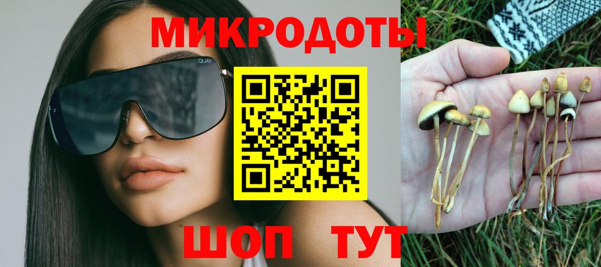 Кизилюрт  Псилоцибиновые грибы мицелий  Вход с VPN 